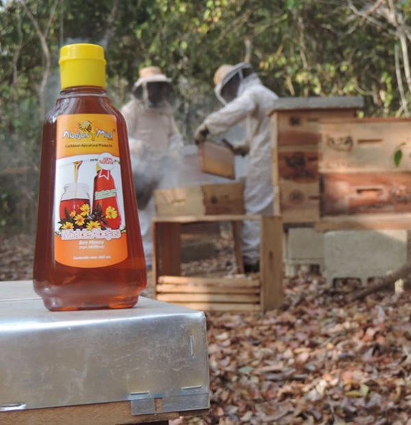 MIEL DE ABEJAS
